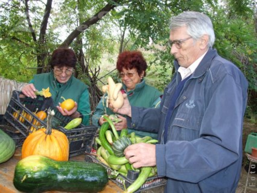 Expoziţie temporară de bostani