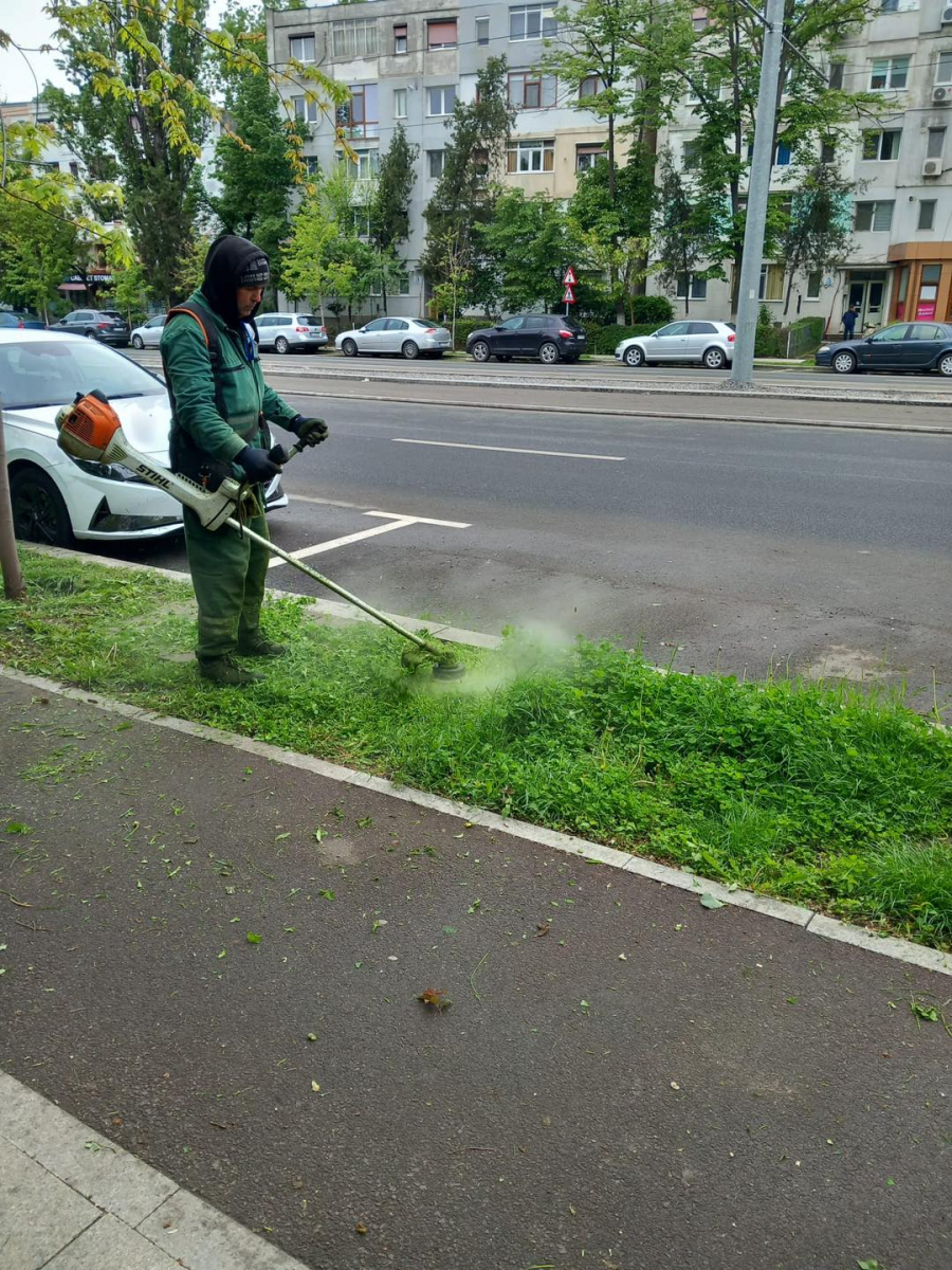 Cu cât îi plătește Gospodărire Urbană pe muncitorii care cosesc iarba