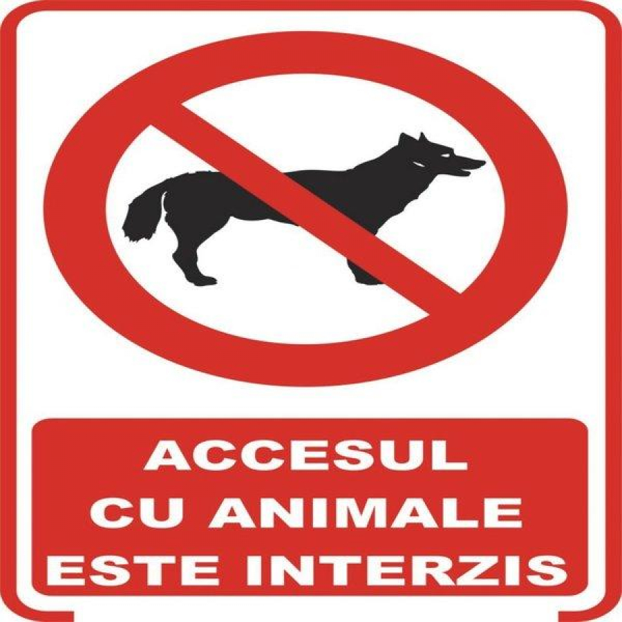 Fără animale de companie la cumpărături