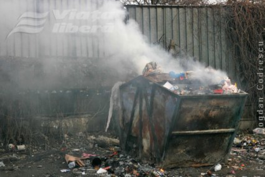 Pe Mediu, de doi ani se freacă menta