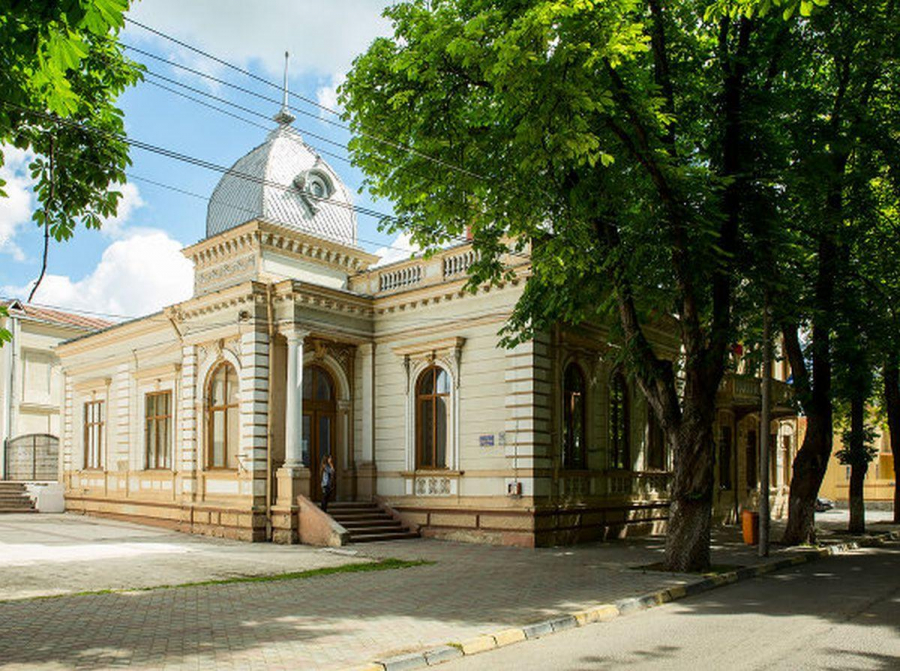 „Retrospective cromatice”, la Biblioteca „Ştefan Petică”