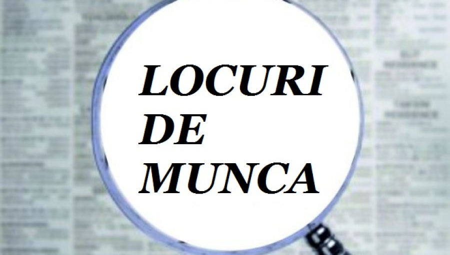 171 de LOCURI DE MUNCĂ, vacante prin AJOFM