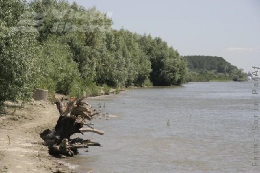 Cine e artizanul afacerii „Malul Dunării”?