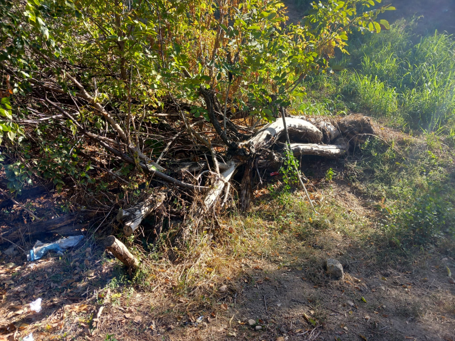 Parc sufocat de mizerie și de urmele furtunii din 31 august (FOTO)