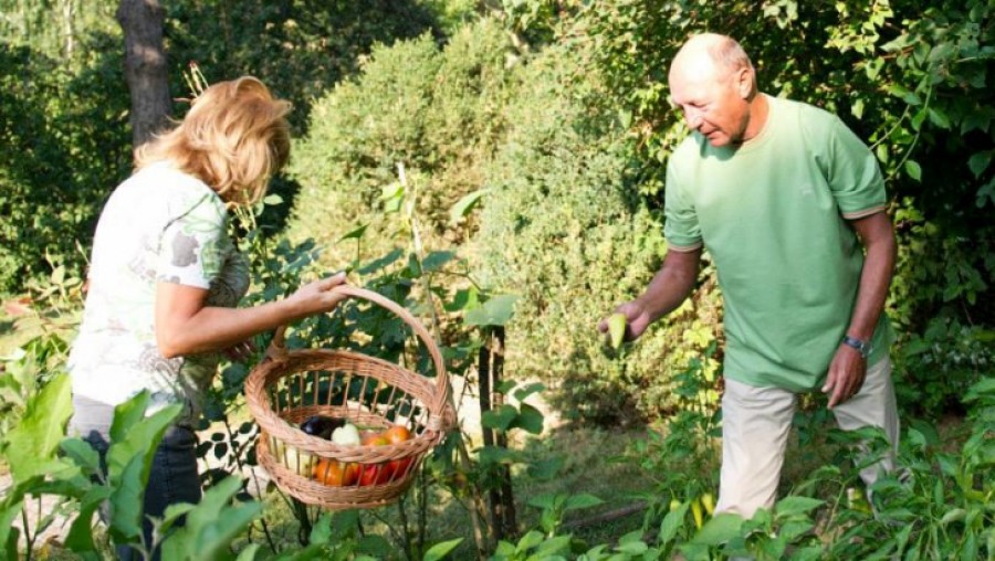 Preşedintele Traian Băsescu a postat pe Facebook imagini din grădina sa de legume