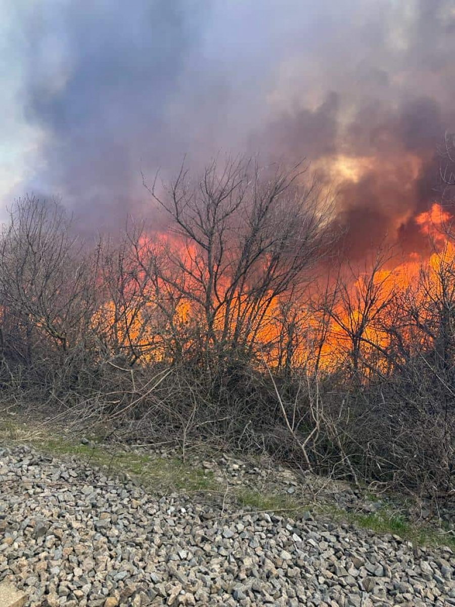 Zeci de hectare de vegetație au ars la Brateș (VIDEO)