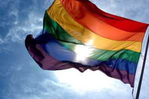 Rusia interzice propaganda LGBT