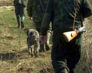 Toți mistreții de pe trei fonduri de vânătoare din Constanța, uciși