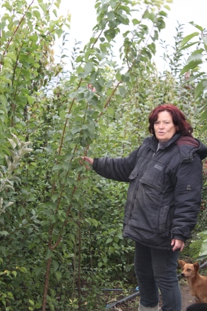 &quot;Creşa&quot; de POMI FRUCTIFERI de la Lieşti livrează în toată ţara