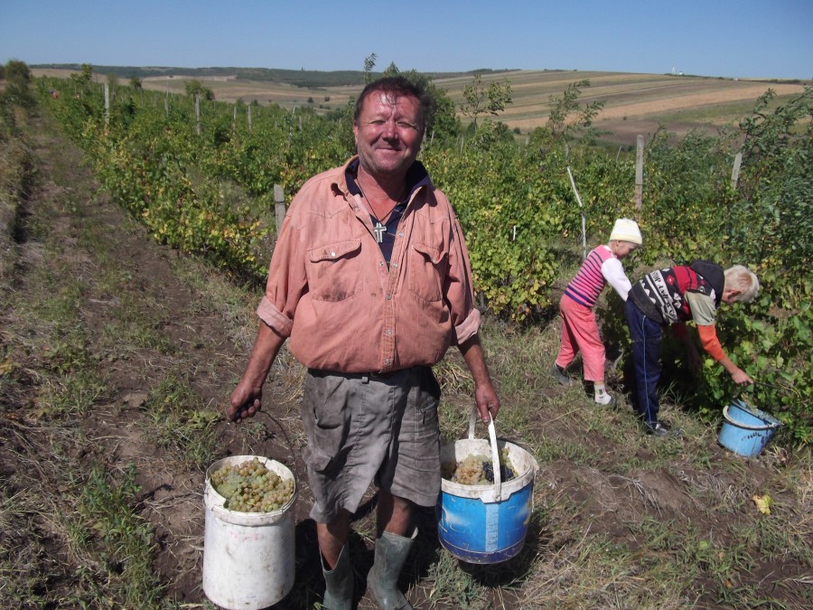 Toamna, la Găneşti - „Hai, mamă, acasă, că aici se va lăsa cu sânge!”