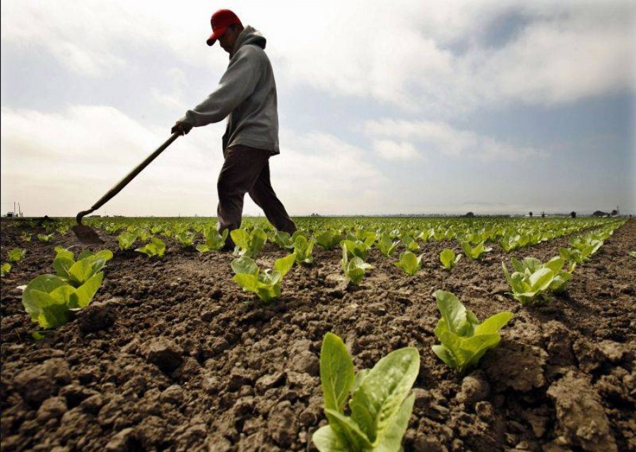 Viaţa în agricultură: Salarii mici şi muncă multă
