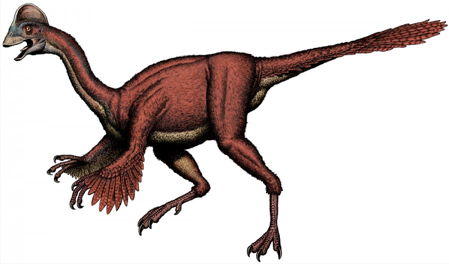Paleontologii au descoperit o nouă specie de dinozaur cu pene, în Statele Unite