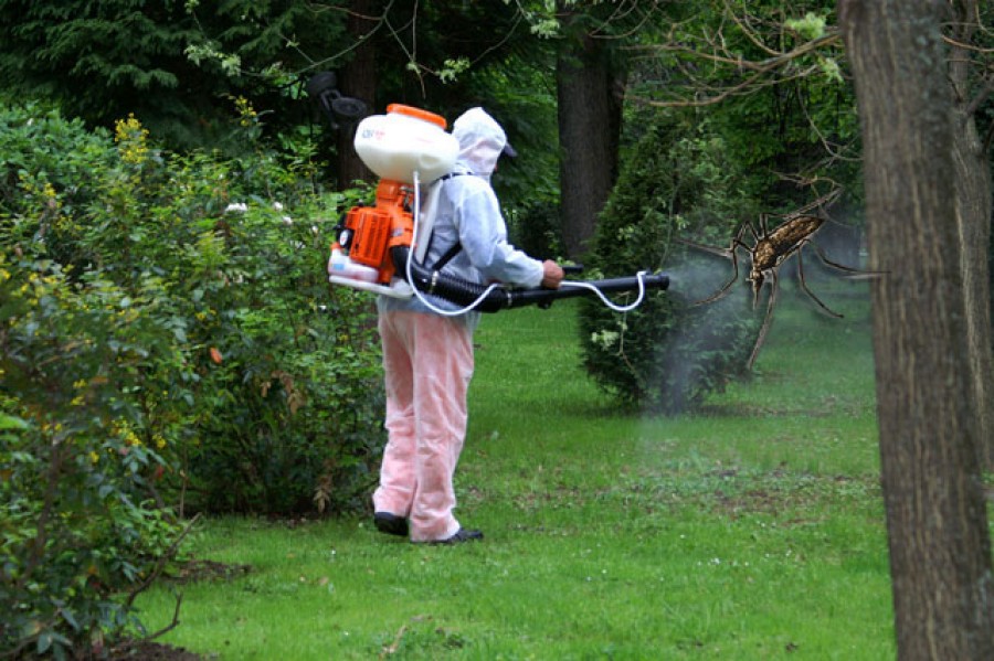 Se stropeşte din nou împotriva insectelor dăunătoare/ "Desţânţărire" din aer şi de la sol