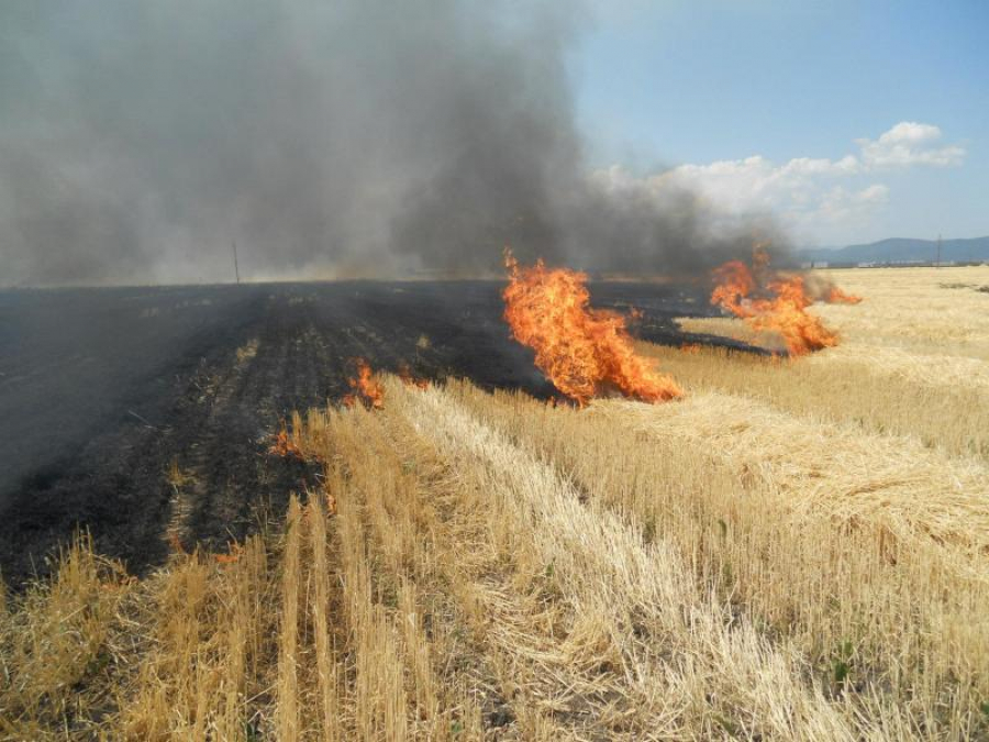 Zeci de hectare de teren din Galați, arse în două zile
