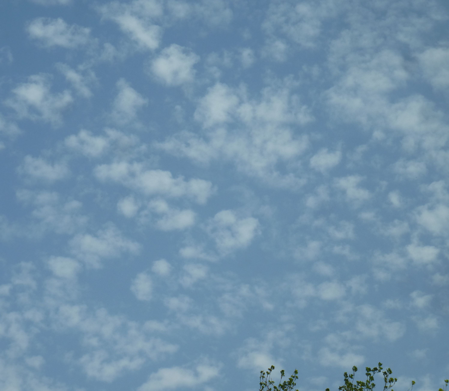 PROGNOZA METEO | Cum va fi vremea, luni, la Galați