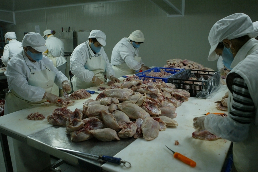 Puţini "grei" în industria gălăţeană a preparatelor din carne