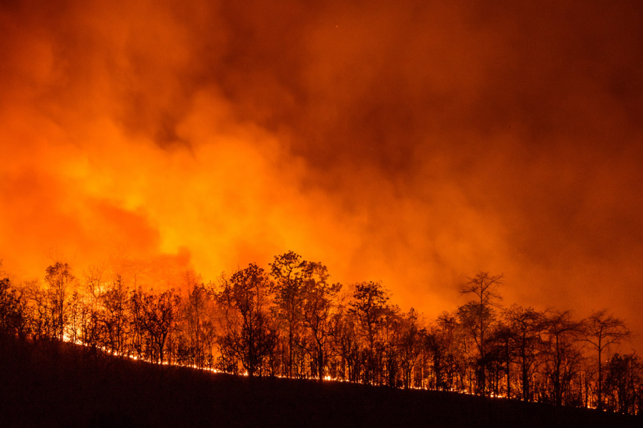 Val de incendii de vegetație