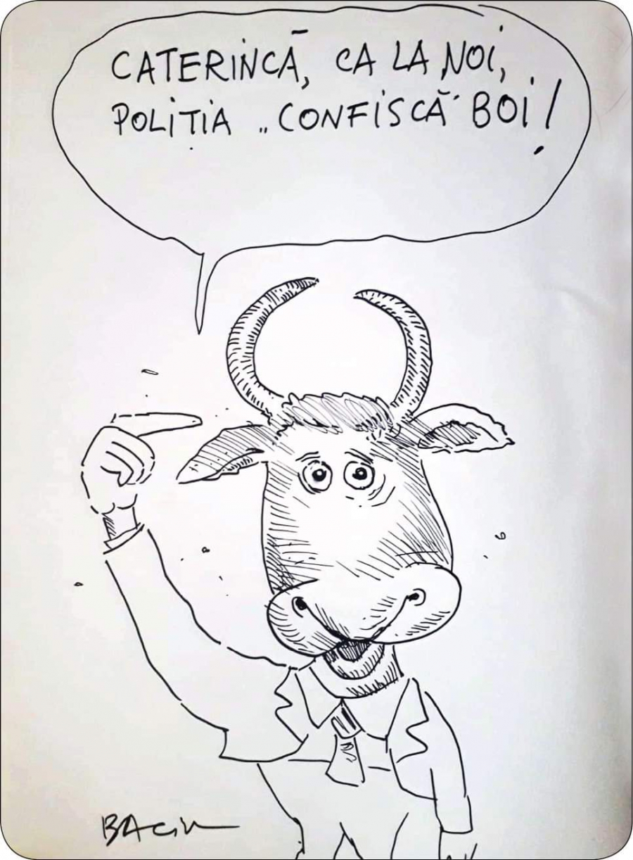 Baciu la (n)oi