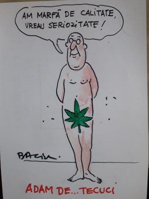 Baciu la (n)oi