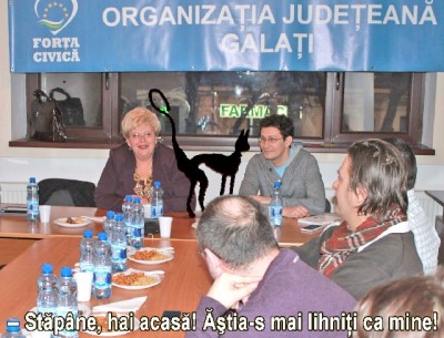 Pisic jigărit aciuat pe la partid