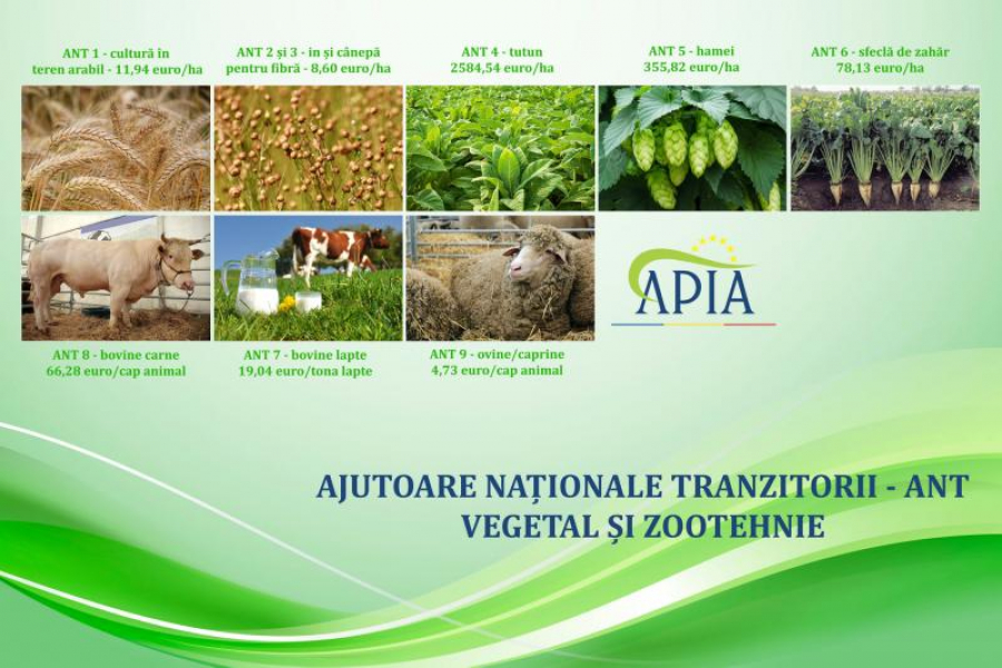APIA va începe plăți în sectoarele vegetal și zootehnic