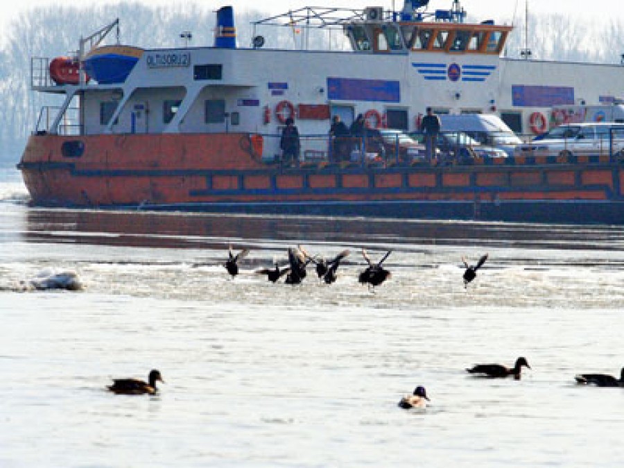 Brăila: Circulaţia bacurilor pe Dunăre a fost închisă din cauza vântului şi a valurilor