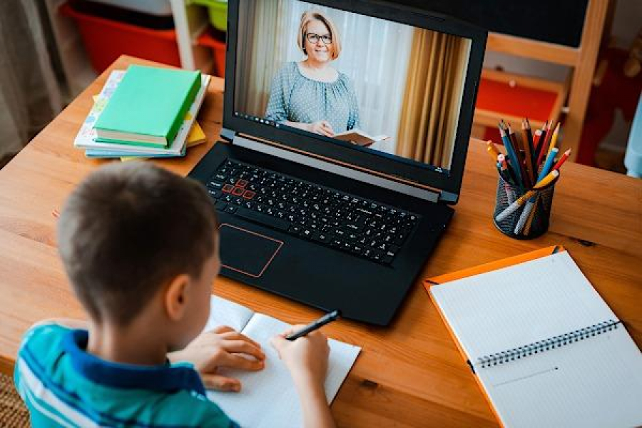 Profesorii care nu fac ore online, raportaţi la ISJ