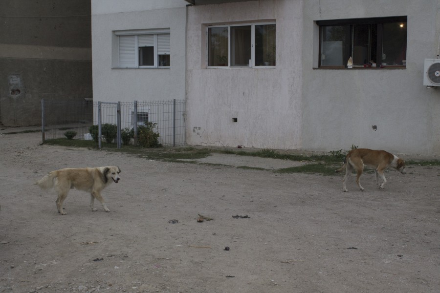 REPORTAJ în CARTIERUL FANTOMĂ al Galaţiului