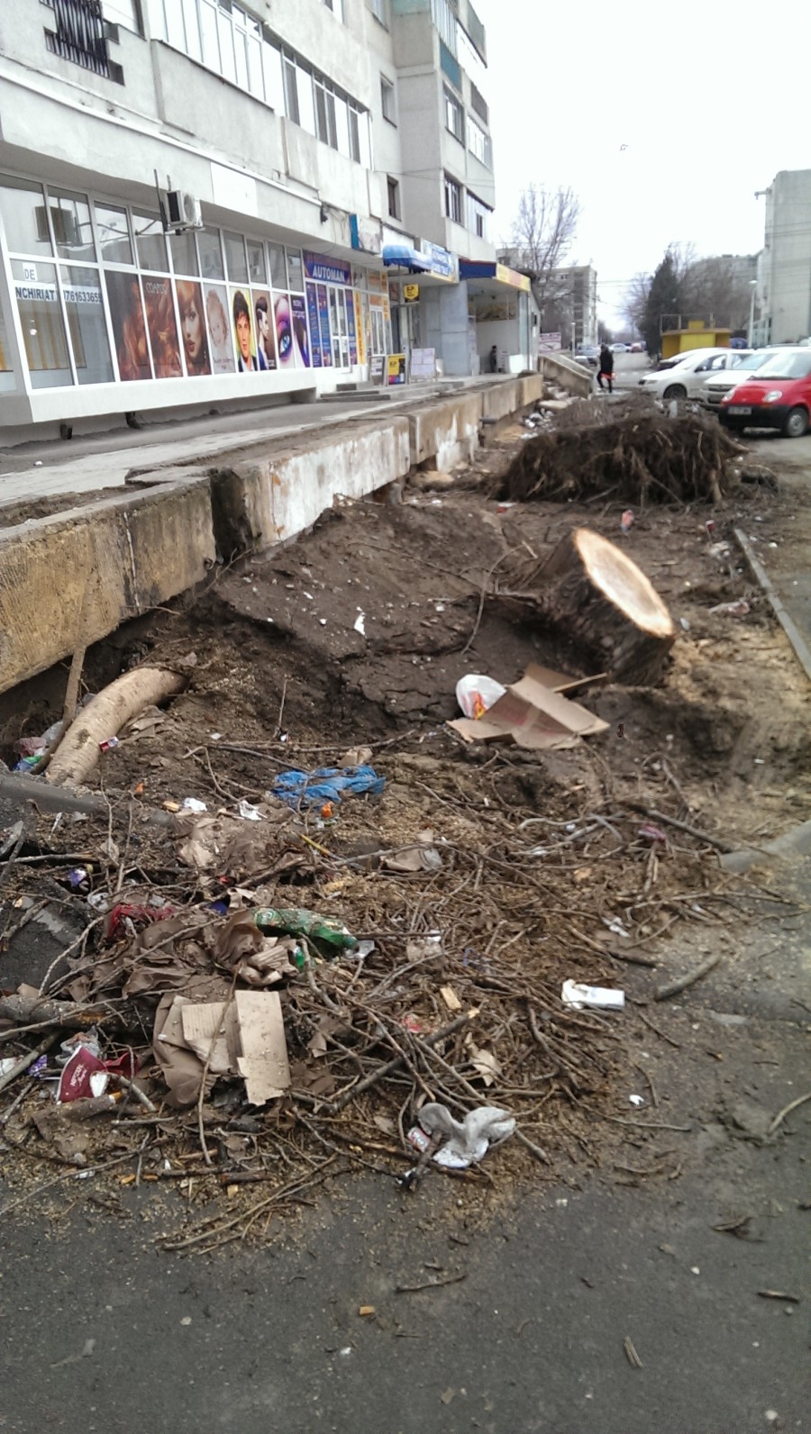 Crengile şi cioatele copacilor căzuţi la VISCOLUL DE ACUM O LUNĂ încă aşteaptă să fie RIDICATE