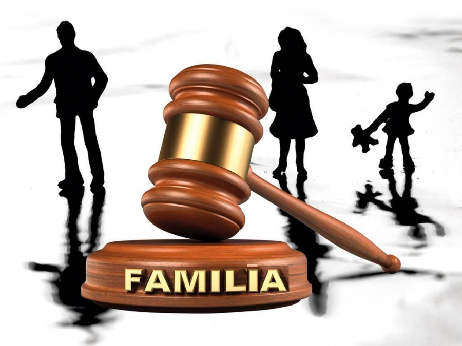 Obligaţia de întreţinere a părinţilor faţă de copilul minor (II)