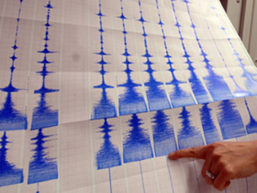 Un cutremur cu magnitudinea 3,8 grade pe scara Richter s-a produs miercuri în zona Vrancea