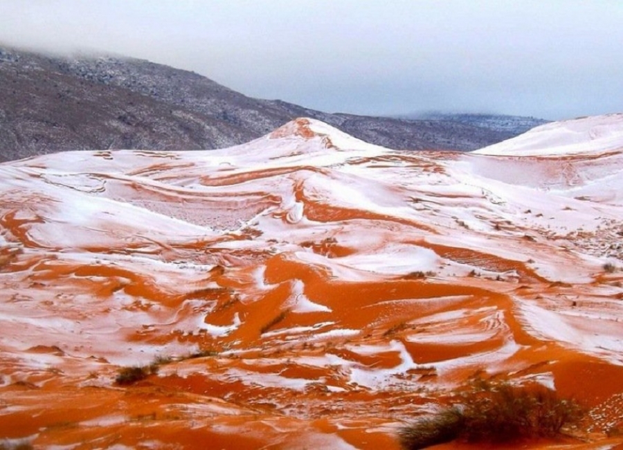 A nins în deşertul Sahara, pentru prima dată din 1979