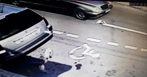 UPDATE Șofer căutat pentru că a călcat un câine cu mașina