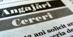 Cursurile de calificare nu înseamnă experienţă de muncă