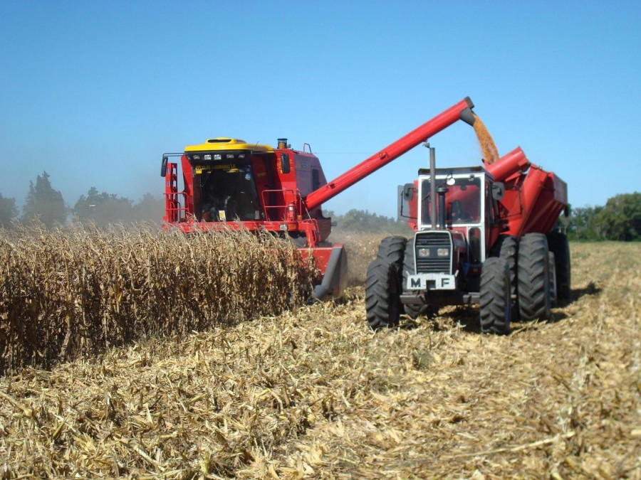 Pentru prima dată în România în ultimii 20 de ani/ Excedent comercial agroalimentar în 2013