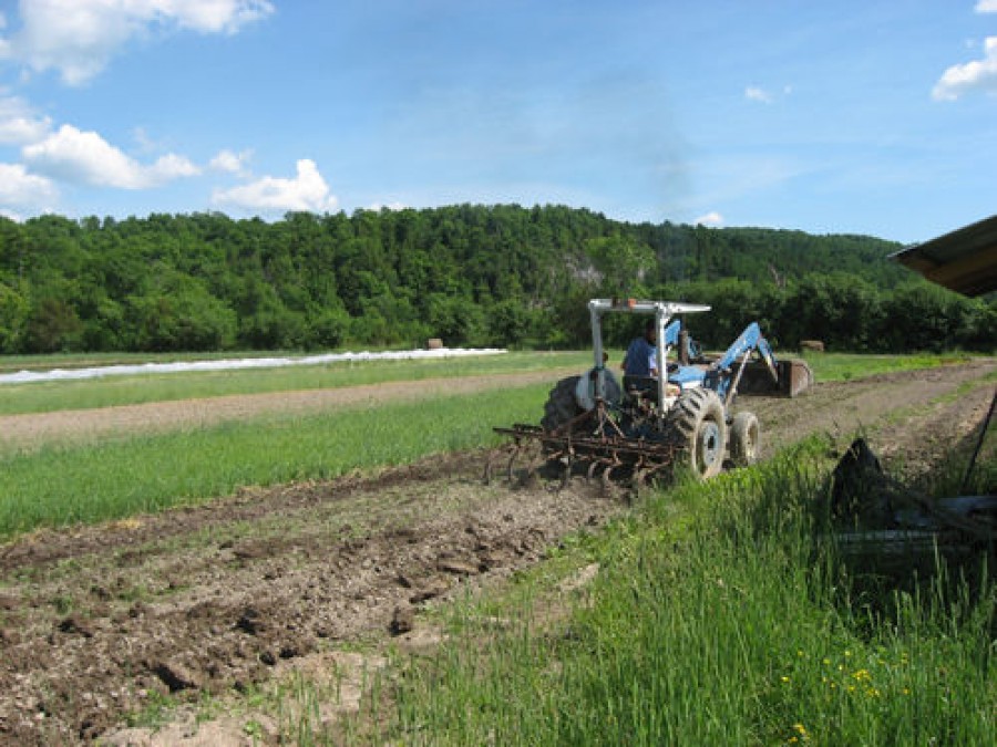 Ministerul Agriculturii are 25 de legi în lucru