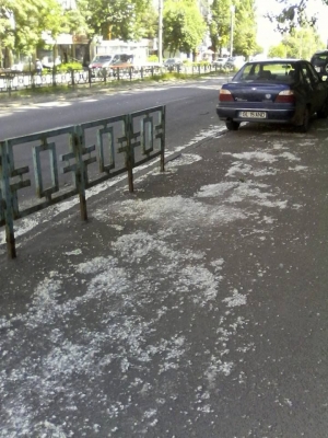 TINERII ȘI ORAȘUL/ Puful ne agresează. Galaţiul - un oraş neprietenos cu persoanele alergice