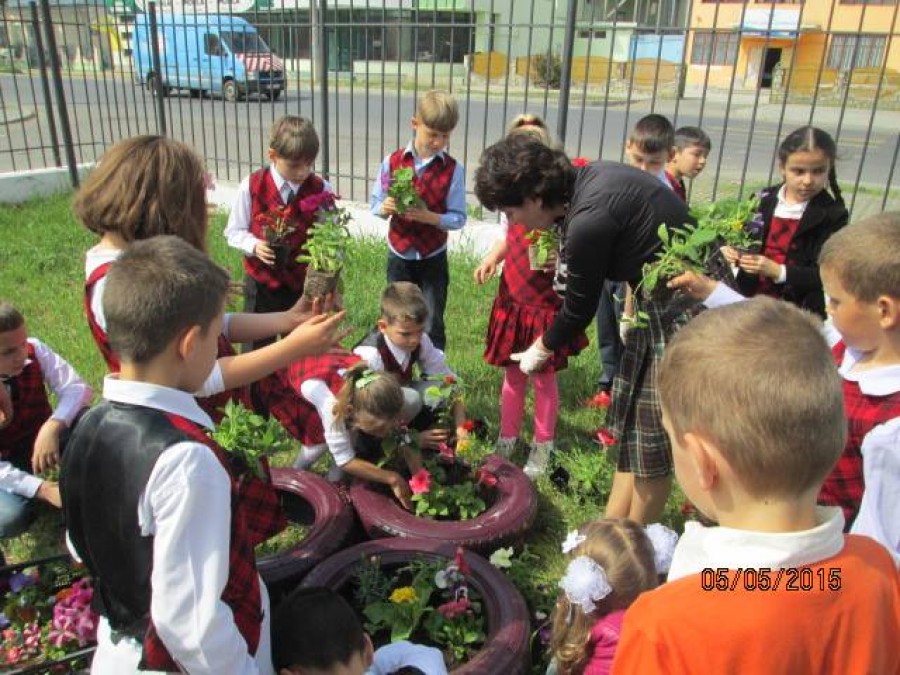 CATEDRA: Un copil, o floare