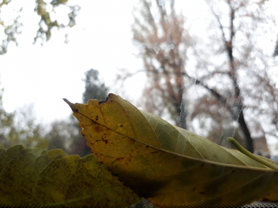 PROGNOZA METEO | Cum va fi vremea, în acest weekend, la Galați