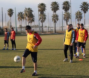 Palmierii de la Oliva Nova vor fi înlocuiţi cu cei de Antalya