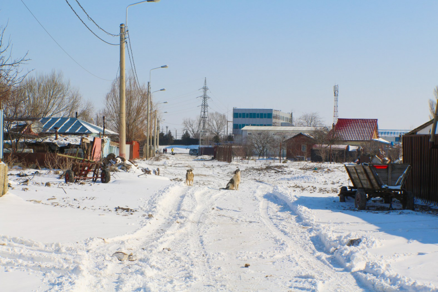 Numai lui Dumnezeu îi mai pasă de Bădălan (FOTO)