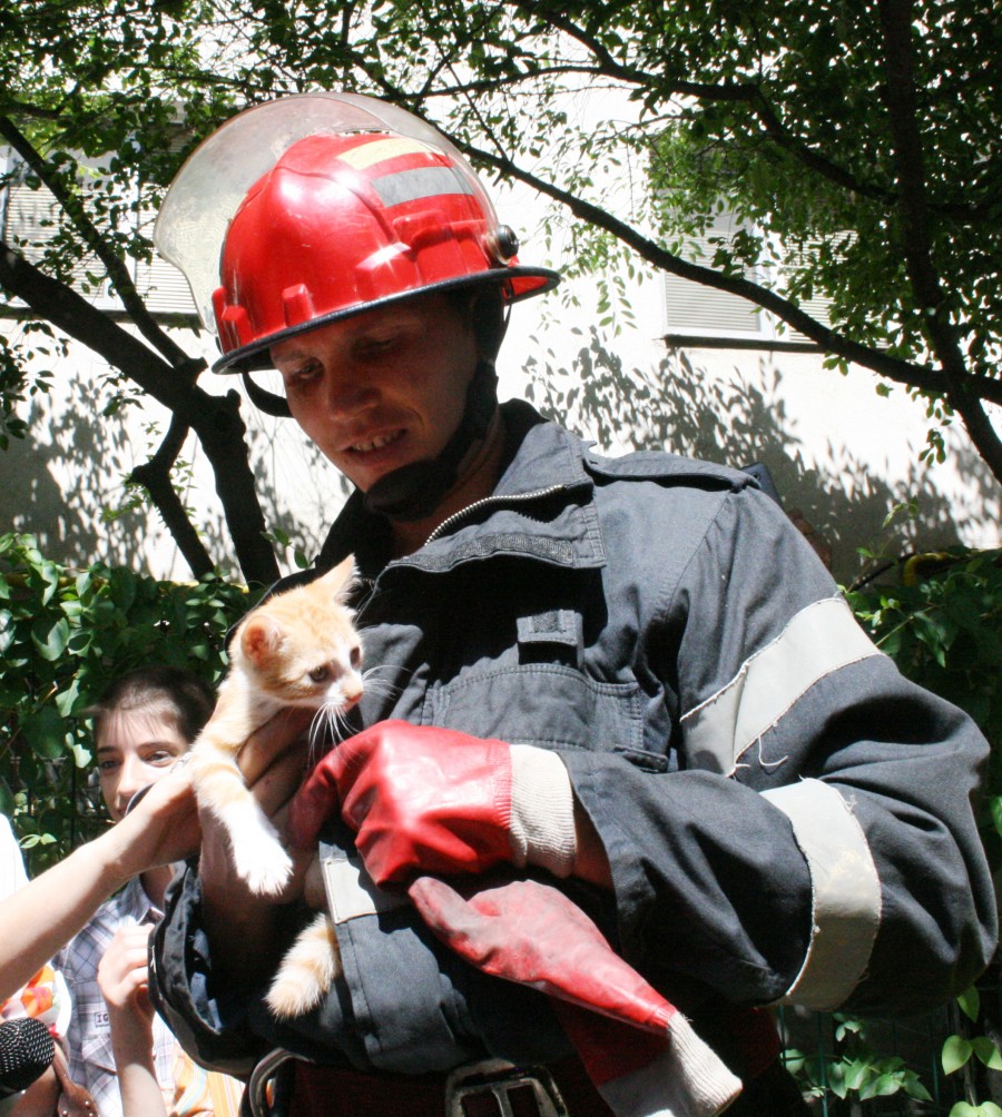 Pisică salvată cu o scară rulantă de Pompieri