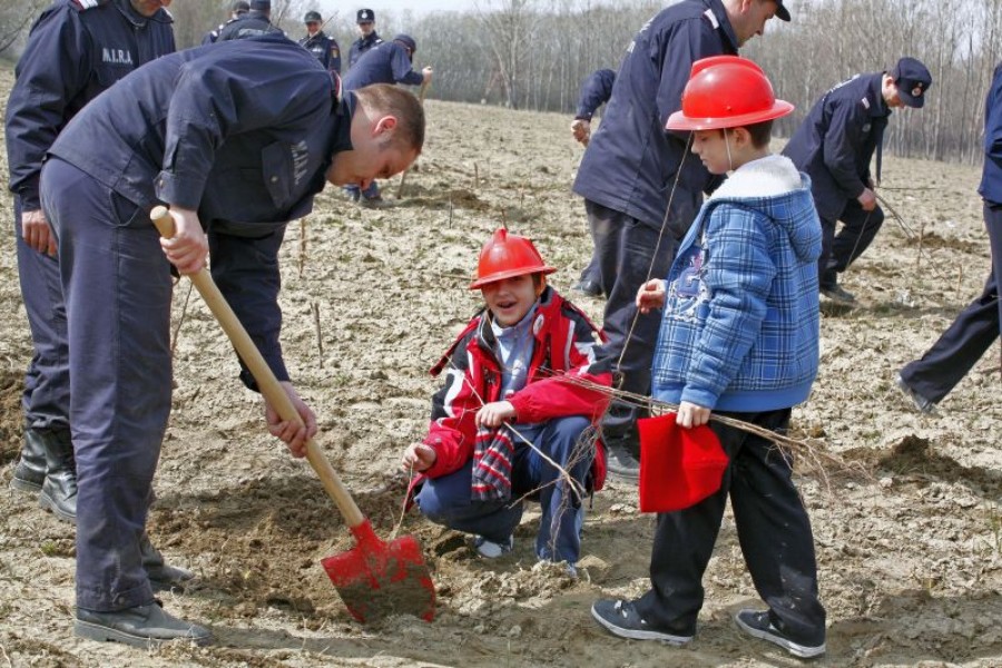 Campanie de împădurire în judeţul Galaţi. Prefectura iese la plantat copaci