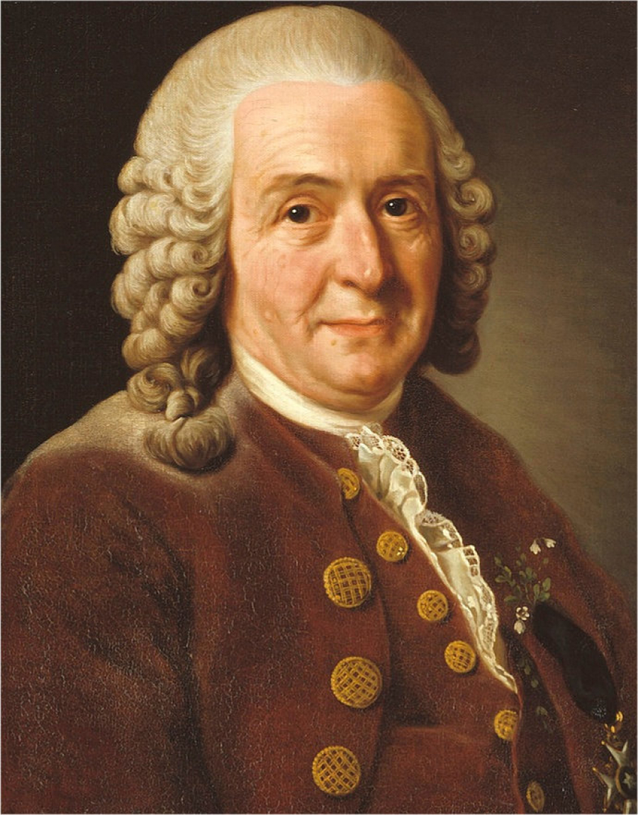 Remember. Carl Linné (1707-1778)
