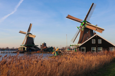 Lucruri de știut dacă ești în căutarea unui loc de muncă sezonier în Olanda
