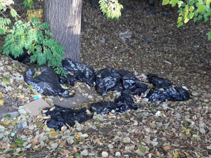 Saci de gunoi ai Ecosal, aruncaţi în spaţiul verde de pe strada Brăilei