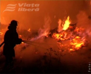 Incendiu de vegetaţie 