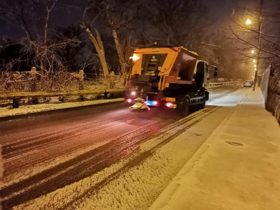 Sărăriţele Ecosal, în acţiune