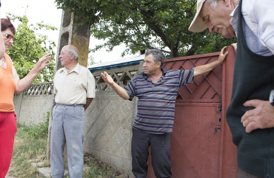 Ciobanii din Scânteieşti au ieşit din nou la PRĂDAT