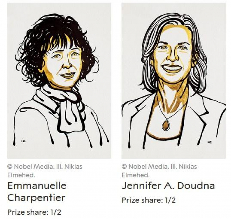 Emmanuelle Charpentier și Jennifer Doudna, laureate ale Premiului Nobel pentru Chimie 2020, pentru lucrările din domeniul geneticii